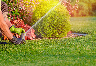 Sprinkler System Installation